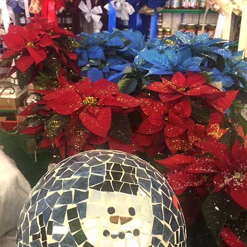 Christmas trees, poinsettias and festive holiday decor available at Tom Strain and Sons in Toledo, Ohio!